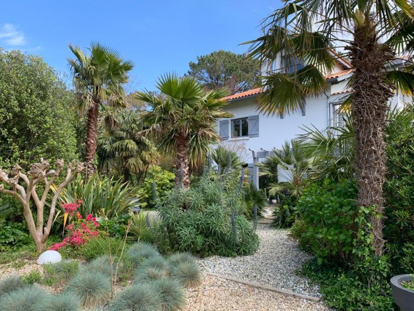 Maison Arbolateia Avec Piscine Et Spa Bidart Luaran gambar